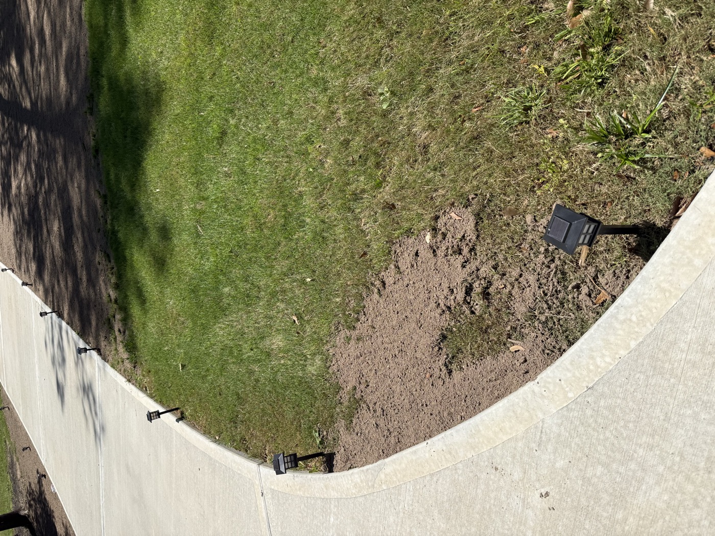 Front-lawn sprinkler coverage — owner added a full zone